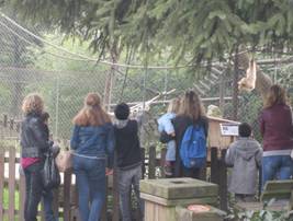 Zoo de Pessac 1